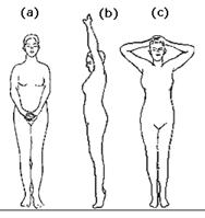 http://yoga.hosuronline.com/YogaImage/tadasana.gif