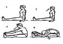 http://www.remediespoint.com/wp-content/uploads/2011/10/Paschimottanasana-Steps-e1318489084100.jpg