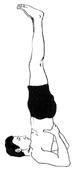http://www.remedymadeeasy.com/yoga%20images/sarvangasana.gif