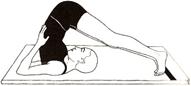 http://www.theindianyoga.com/wp-content/uploads/2016/04/Halasana.gif
