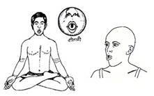 https://naturetoheal.files.wordpress.com/2016/04/sheetali_1432625950.jpg?w=656