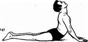 http://www.stafforini.com/yoga/Bhujangasana.jpg