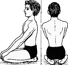 http://netchanting.com/wp-content/uploads/2014/11/vajrasana.gif