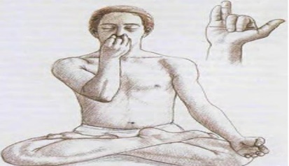 Image result for bhastrika pranayama