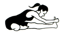Image result for janu sirsasana stick figure