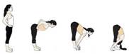Image result for uttanasana