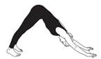 Image result for adho mukha svanasana