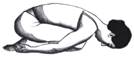 Image result for balasana