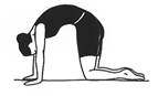 Image result for Marjaryasana