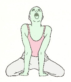Image result for simhasana