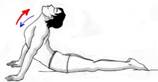 Image result for uttanapadasana