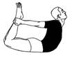 Image result for bhujangasana
