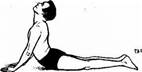 Image result for dhanurasana