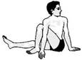 Image result for vakrasana