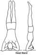 Image result for shirshasana