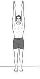 Image result for bharadvajasana