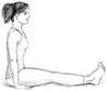 Image result for urdhva hastasana