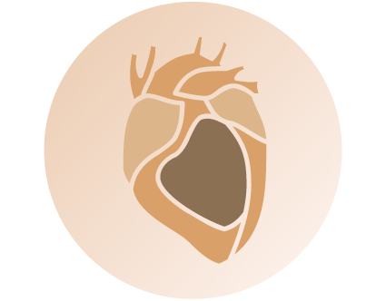 Allergy & immunity / Infection